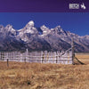 Botch - An Anthology Of Dead Ends (Indie Exclusive Vinyl) - Pale Blue Dot Records