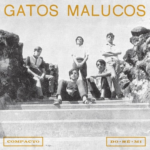 Gatos Malucos - Sem Ver O Luar (Vinyl LP) - Pale Blue Dot Records
