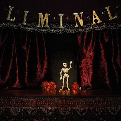 Chase Petra - Liminal (Vinyl LP) - Pale Blue Dot Records