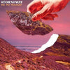 Stornoway - Dig The Mountain! (Vinyl LP)