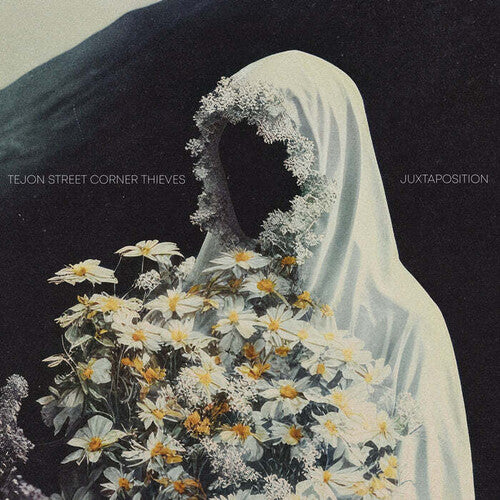 Tejon Street Corner Thieves - Juxtaposition (Vinyl LP) - Pale Blue Dot Records