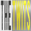 Bar Italia - The Twits (Vinyl LP) - Pale Blue Dot Records