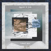 Richard Sears - Appear To Fade (Vinyl LP) - Pale Blue Dot Records