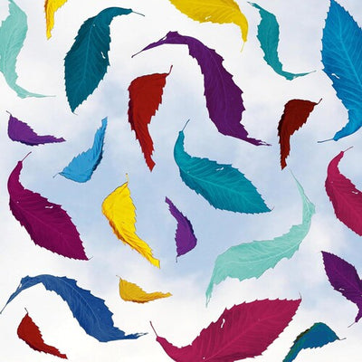 New Order - True Faith Remix (2023 Remaster) (Vinyl LP) - Pale Blue Dot Records