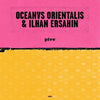 Ilhan Ersahin - Pire / Mesta (Vinyl LP) - Pale Blue Dot Records