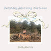 Seth Martin - Saturday Morning Cartoons (Vinyl LP) - Pale Blue Dot Records