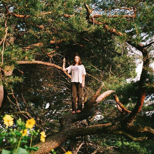 Packs - Melt The Honey (Vinyl LP) - Pale Blue Dot Records