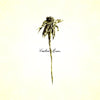 Patrick Watson - Wooden Arms (Vinyl LP) - Pale Blue Dot Records