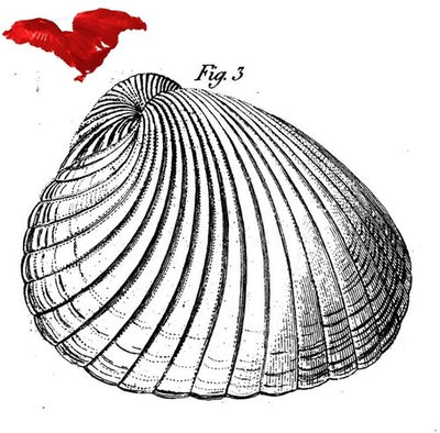 Koma Saxo with Sofia Jernberg - Koma West (Vinyl LP)