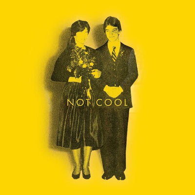 Tim Easton - Not Cool (Vinyl LP) - Pale Blue Dot Records