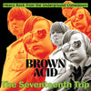 Various Artists - Brown Acid - The Seventeenth Trip (Various Artists) (Vinyl LP) - Pale Blue Dot Records