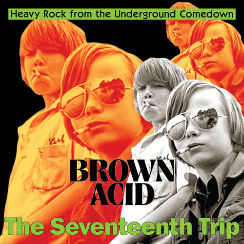 Various Artists - Brown Acid - The Seventeenth Trip (Various Artists) (Vinyl LP) - Pale Blue Dot Records