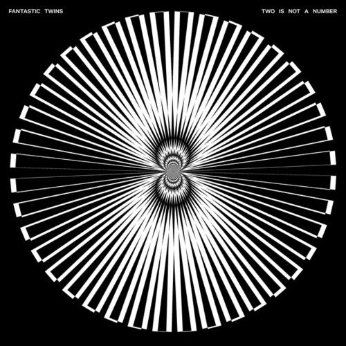 Fantastic Twins - Two Is Not A Number (Vinyl LP) - Pale Blue Dot Records