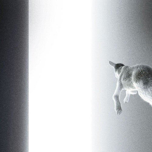 Panoram - Keep Looking Where The Light Comes From (Vinyl LP) - Pale Blue Dot Records