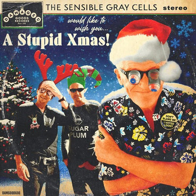 Sensible Gray Cells - A Stupid Xmas! (Vinyl LP) - Pale Blue Dot Records