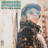 Pete Molinari - Wondrous Afternoon (Vinyl LP) - Pale Blue Dot Records