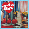Big Mess - Cleaning Up With (Vinyl LP) - Pale Blue Dot Records