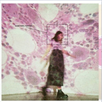 Soccer Mommy - Sometimes, Forever (Vinyl LP)