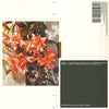 Popp Polygonia - Candid (Vinyl LP) - Pale Blue Dot Records