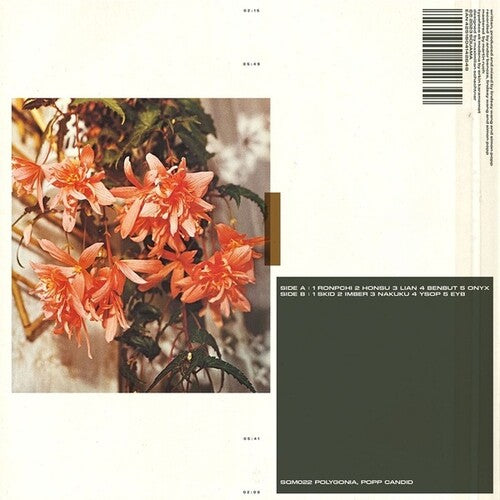Popp Polygonia - Candid (Vinyl LP) - Pale Blue Dot Records