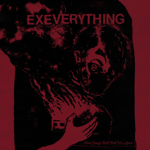Ex Everything - Slow Change Will Pull Us Apart (Vinyl LP) - Pale Blue Dot Records