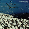 Thinking Fellers Union Local #282 - These Things Remain Unassigned (Vinyl LP) - Pale Blue Dot Records