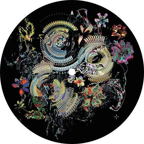 Victor Ruiz - Bloom (Vinyl LP) - Pale Blue Dot Records