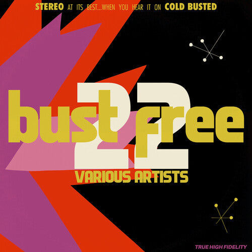 Various Artists - Bust Free 22 (Various Artists) (Vinyl LP) - Pale Blue Dot Records