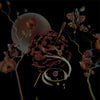 Huxley Anne - Ilium (Vinyl LP)
