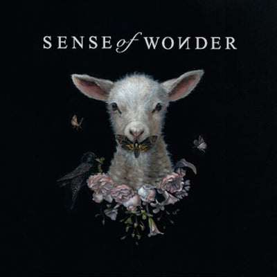 Sense of Wonder - Sense of Wonder (Vinyl LP) - Pale Blue Dot Records