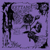 Kettama - Fallen Angel (Vinyl LP) - Pale Blue Dot Records