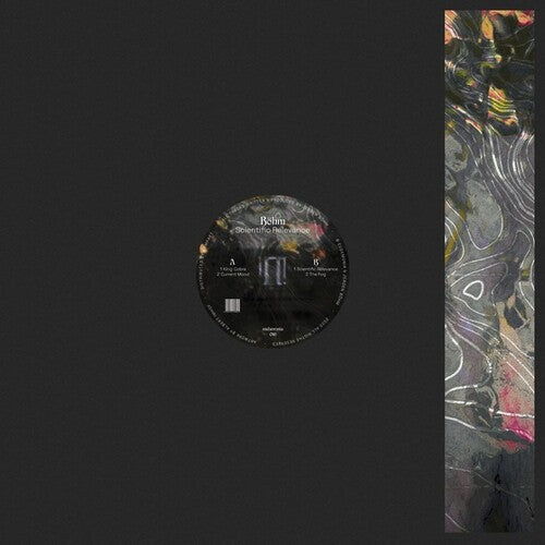 Bohm - Scientific Relevance (Vinyl LP) - Pale Blue Dot Records