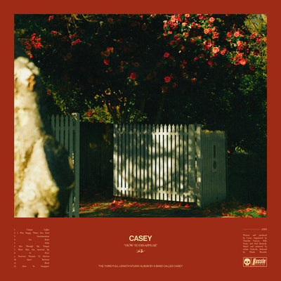 Casey - How To Disappear (Vinyl LP) - Pale Blue Dot Records