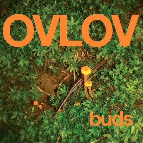 Ovlov - Buds (Vinyl LP) - Pale Blue Dot Records