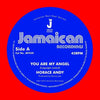 Horace Andy - You Are My Angel/Version (Vinyl LP) - Pale Blue Dot Records