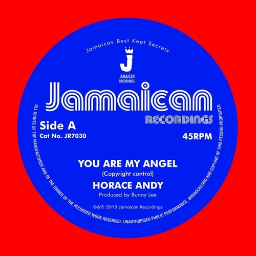 Horace Andy - You Are My Angel/Version (Vinyl LP) - Pale Blue Dot Records