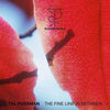 Tal Fussman - The Fine Line in Between (Vinyl LP) - Pale Blue Dot Records