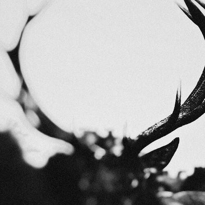 Ihsahn - IHSAHN (Orchestral Version) (Vinyl LP) - Pale Blue Dot Records