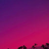 Sweet Williams - Sweet Williams (Vinyl LP) - Pale Blue Dot Records