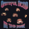 Grateful Dead - In The Dark (Vinyl LP) - Pale Blue Dot Records