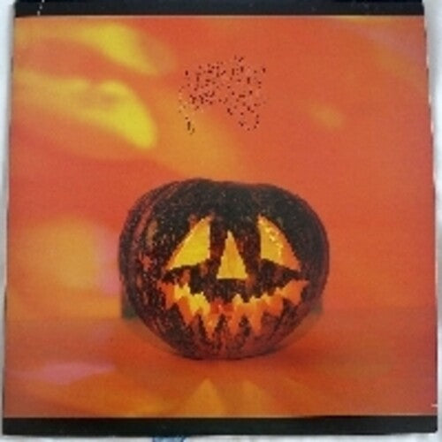Sonic Youth - Walls Have Ears (Vinyl LP) - Pale Blue Dot Records