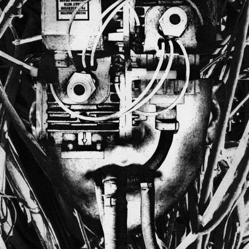 Dissimulator - Lower Form Resistance (Vinyl LP) - Pale Blue Dot Records
