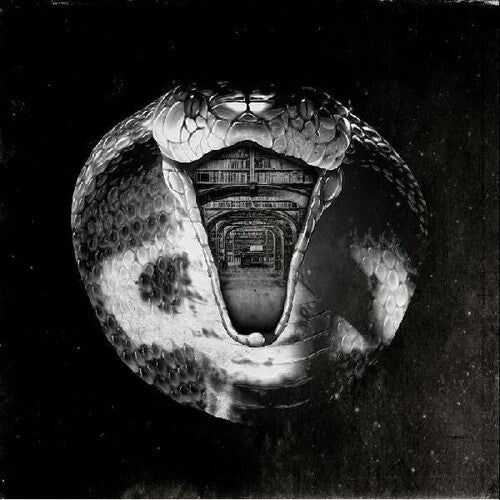 The Mommyheads - Genius Killer (Vinyl LP) - Pale Blue Dot Records
