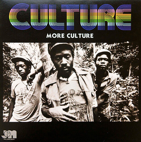 Culture - More Culture (Vinyl LP) - Pale Blue Dot Records