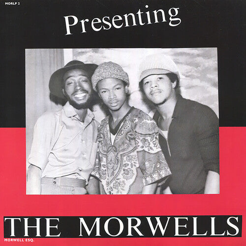 Morwells - Presenting The Morwells (Vinyl LP) - Pale Blue Dot Records