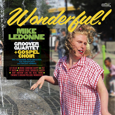 Wonderful (Vinyl LP) - Pale Blue Dot Records