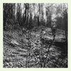 Topographies - Interior Spring (Vinyl LP) - Pale Blue Dot Records