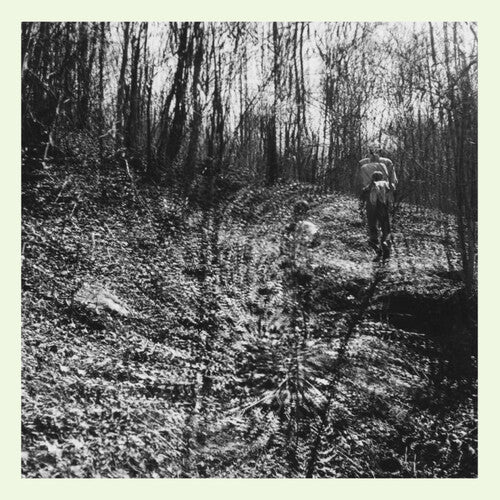 Topographies - Interior Spring (Vinyl LP) - Pale Blue Dot Records
