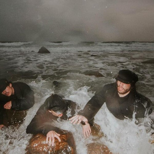 The Pons - The Liquid Self (Vinyl LP) - Pale Blue Dot Records