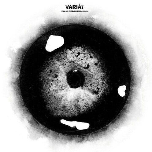 Variat - I Can See Everything From Here (Vinyl LP) - Pale Blue Dot Records